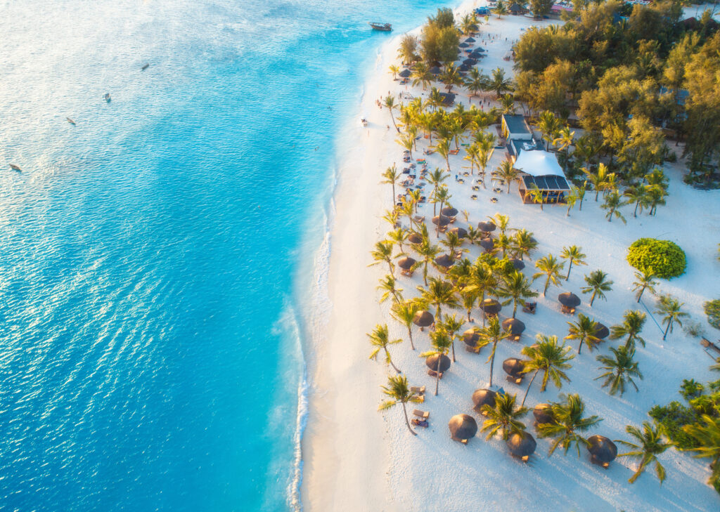 Aerial view of umbrellas, green palms on the sandy beach